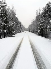Fototapeta premium road in winter forest