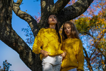 horizontal photo of two young beautiful girls standing under a tree