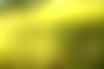 Green leaf background Yellow, blurry leaves Bokeh circles from light shining through As a background and Beautiful computer screen image