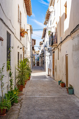 Typical old Spanish street, Calle Purisima, with many planters in Requena, Spain