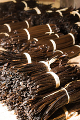 Vanille de Nosy Be à Madagascar