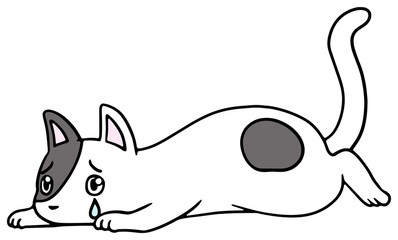 倒れた猫のイラスト_黒ぶち_泣き顔