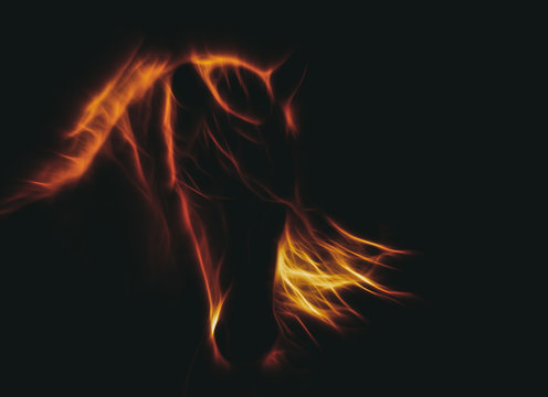 Stylised horse fire on black background
