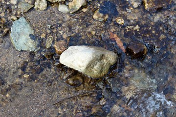 The rocky surface in the flowing creek water.