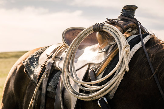 Close-up of a western riding saddle with lasso attached. Cody, Wyoming, USA