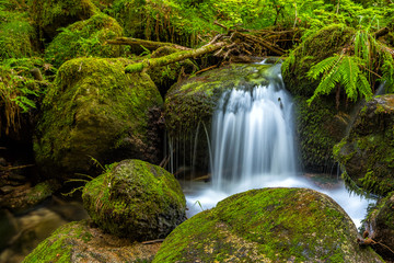 Wasserfall im Schwarzwald