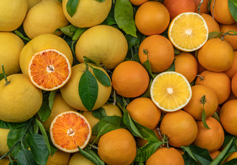 Fresh whole sicilian oranges and yellow grapefruits with its halved slices on the top as a background