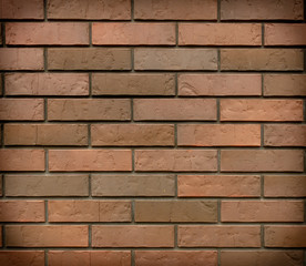 Bricks in the wall of the house.