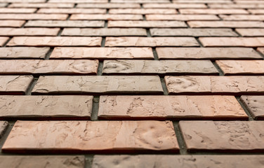 Bricks in the wall of the house.
