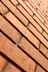 Bricks in the wall of the house.