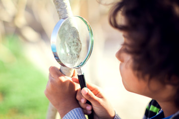 A kid boy looking through magnifier at plants. Children, discovery and botany concept