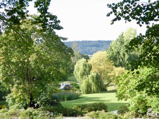 view of lake in park