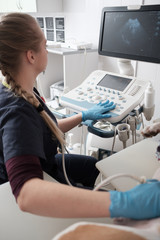 Veterinary Concept. Veterinarian is doing ultrasound. View the puppy in the dog. Veterinarian doing ultrasound and analyze healthy of animal. Selective Focus.
