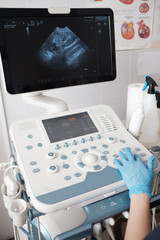 Doctor uses ultrasound scan in veterinary clinic