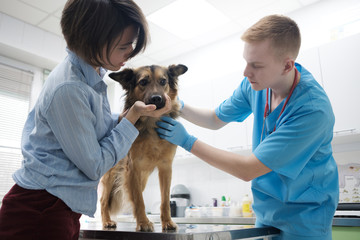 medicine, pet, animals, health care and people concept - happy woman with  dog and veterinarian doctor at vet clinic