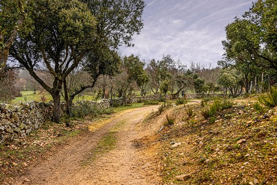 Typical landscape in the Sierra of Guadarrama. madrid Spain