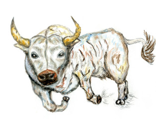 White bull art