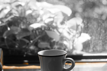 White ceramic coffee cup on the plate is placed on the wooden table in coffee cafe