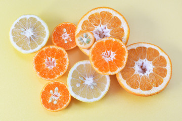 カットされた柑橘類の断面