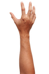 Male Asian hand gestures isolated over the white background. Soft Grab Action. Touch Action.