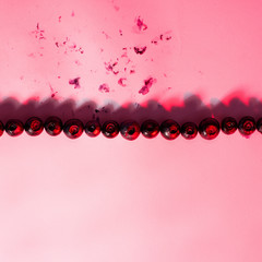 blueberry berry isolated on white background