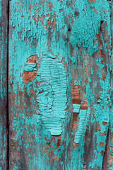Wood background texture with dry peeling paint and cracks. Background, design element, photo background, place for text.