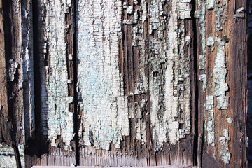 Wood background texture with dry peeling paint and cracks. Background, design element, photo background, place for text.