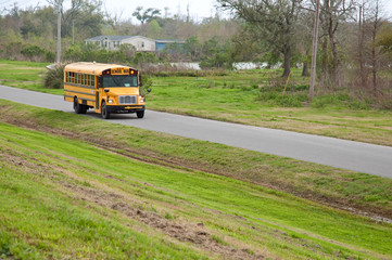 Obraz premium Schoolbus