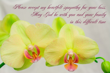 deepest condolences with text  and white pink flower on white background