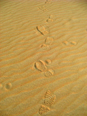 Egypte, Oasis de Siwa