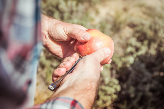 Close-up of father and son out in nature, camping in truck, aeting apple. Bridger, Montana, USA