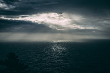 Ocean Rays