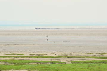 La plage de la Baie du Mont Saint Michel et l'horizon de l'Océan Atlantique et de la Manche entre la  Bretagne et la Normandie
