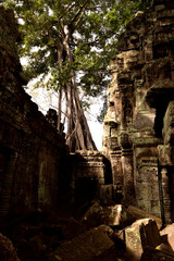View of the beautiful famous temple of Ta Prhom, Angkor