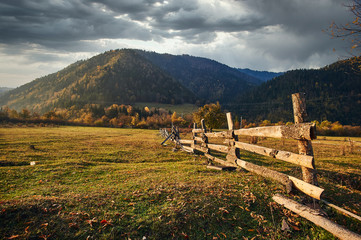 Beautiful autumn sunset in Borjomi, Georgia. Golden fall leaves and forest in the mountains.