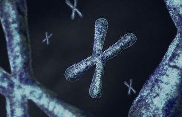 Chromosomes with telomeres on a blue background. Macro illustration.