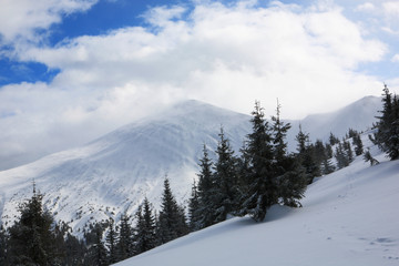 Fototapeta na wymiar Hoverla Mountain in winter.