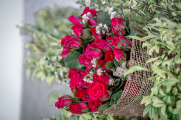 Close-up flower view(pink, red rose)that is beautifully decorated as a bouquet, placed on the table or garden to give on special days(Valentine,wedding)