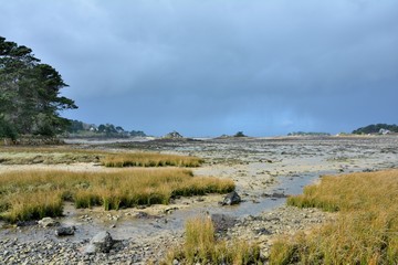 Low tide in the Pellinec bay in Brittany. France