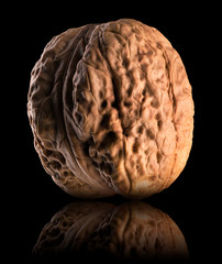 Macro photo of whole walnut with reflection isolated on a black background