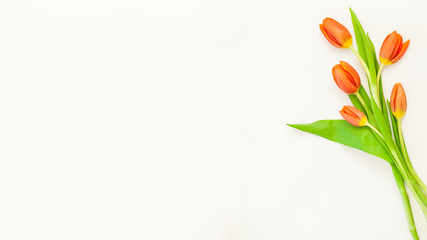 a bouquet of red tulip flowers cut out on white background for copy text flowers bouquet yellow green fresh spring