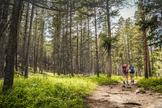 Two Girlfriends Hiking In The Mountains. Red Lodge, Montana, USA