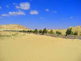 Egypte, Oasis de Siwa