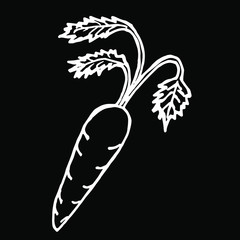  Vector illustration.Close-up vegetable carrots on an isolated black background.
