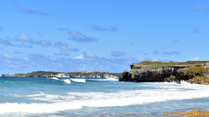 Fototapeta premium wild beach on the Atlantic coast