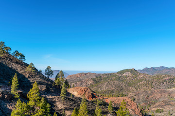 Landscape in Gran Canaria showing mountains and specific vegetation