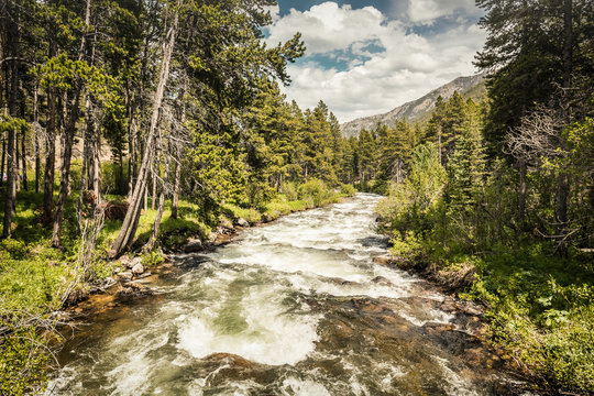 Mountain stream in the mountains. Red Lodge, Montana, USA