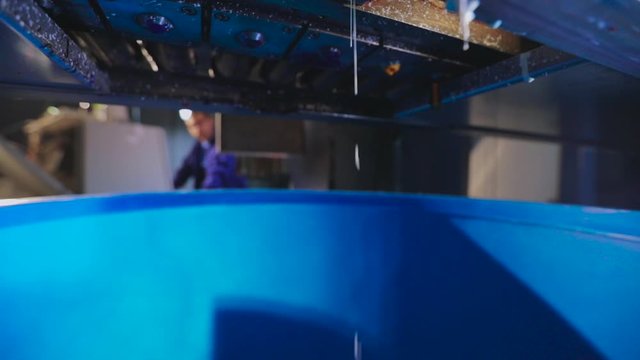 White paint is poured into a bucket, the process of pouring paint to the factories, the process of colorization in the factory