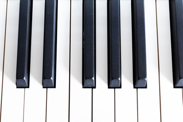 Naklejka premium piano or organ keyboard