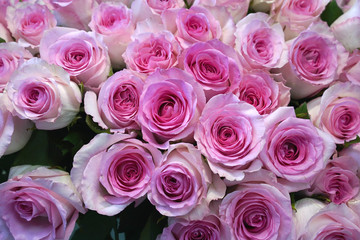 Beautiful bouquet of pink roses